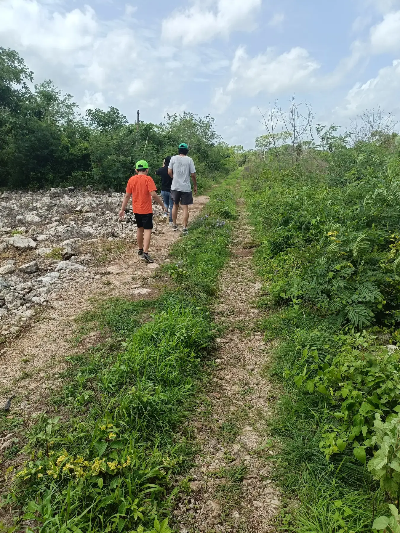 Iktaria project gallery image 6