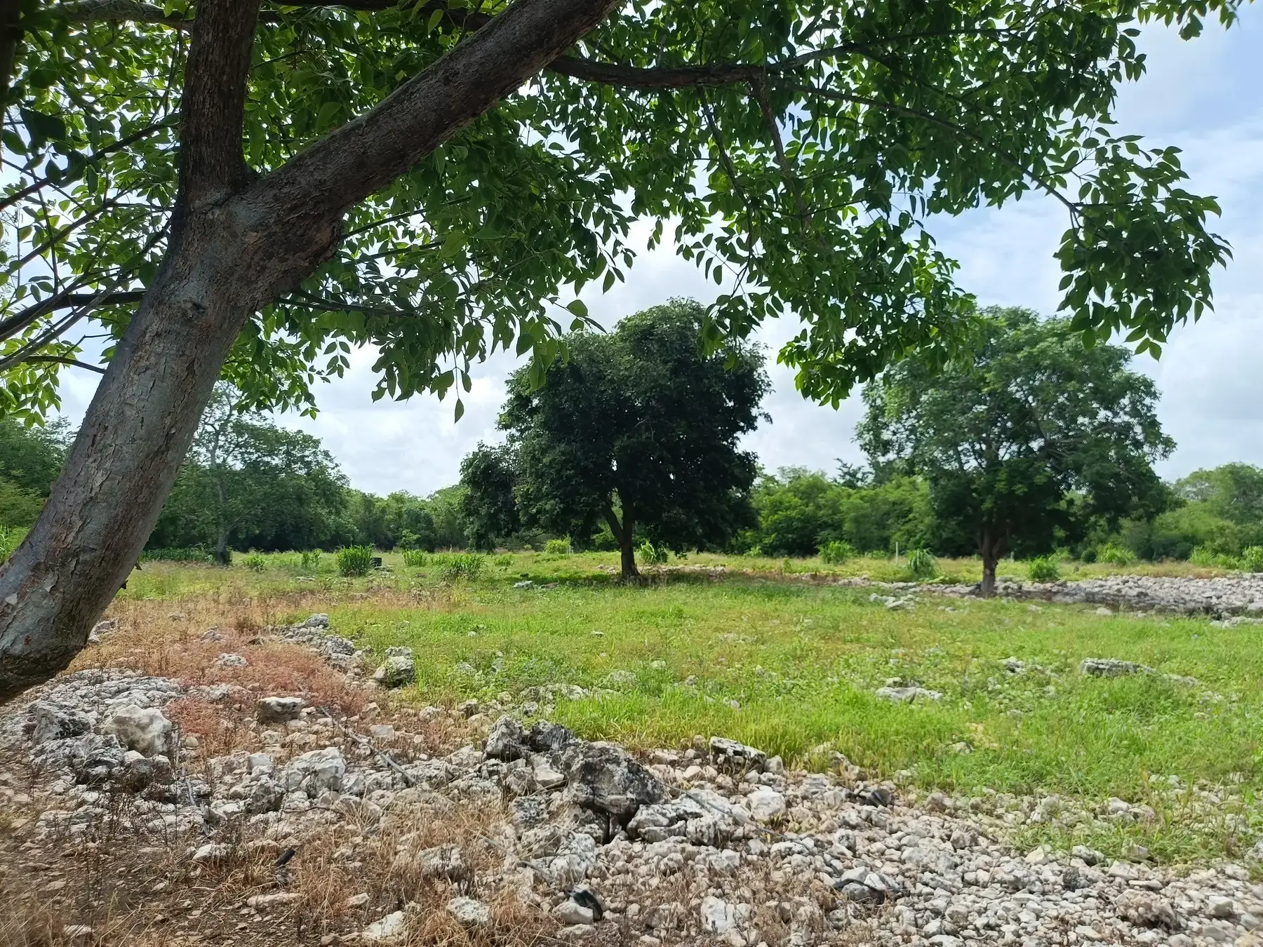 Iktaria project gallery image 5