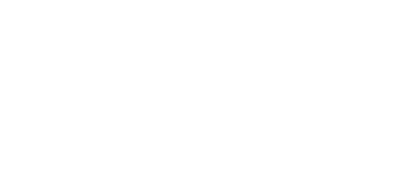Logo de AMELI