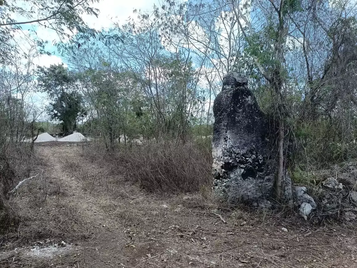 Urbana project gallery image 3