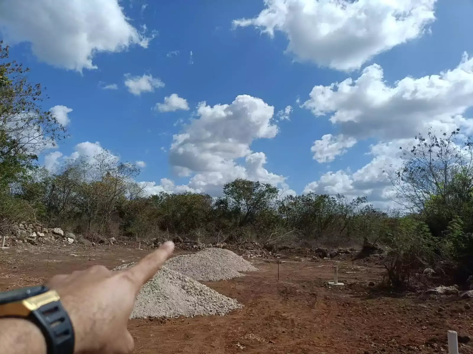 Urbana project gallery image 2