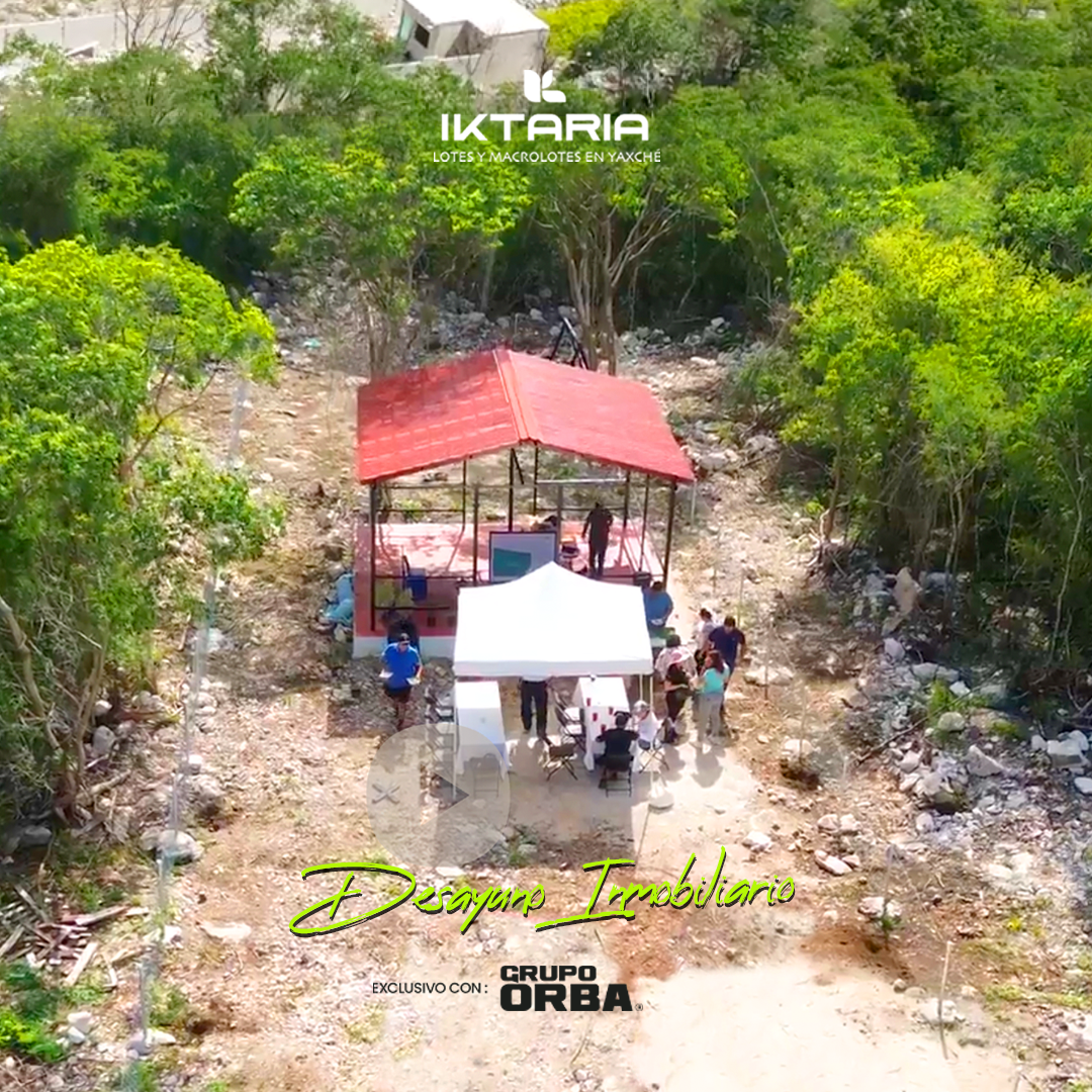 Iktaria project gallery image 7