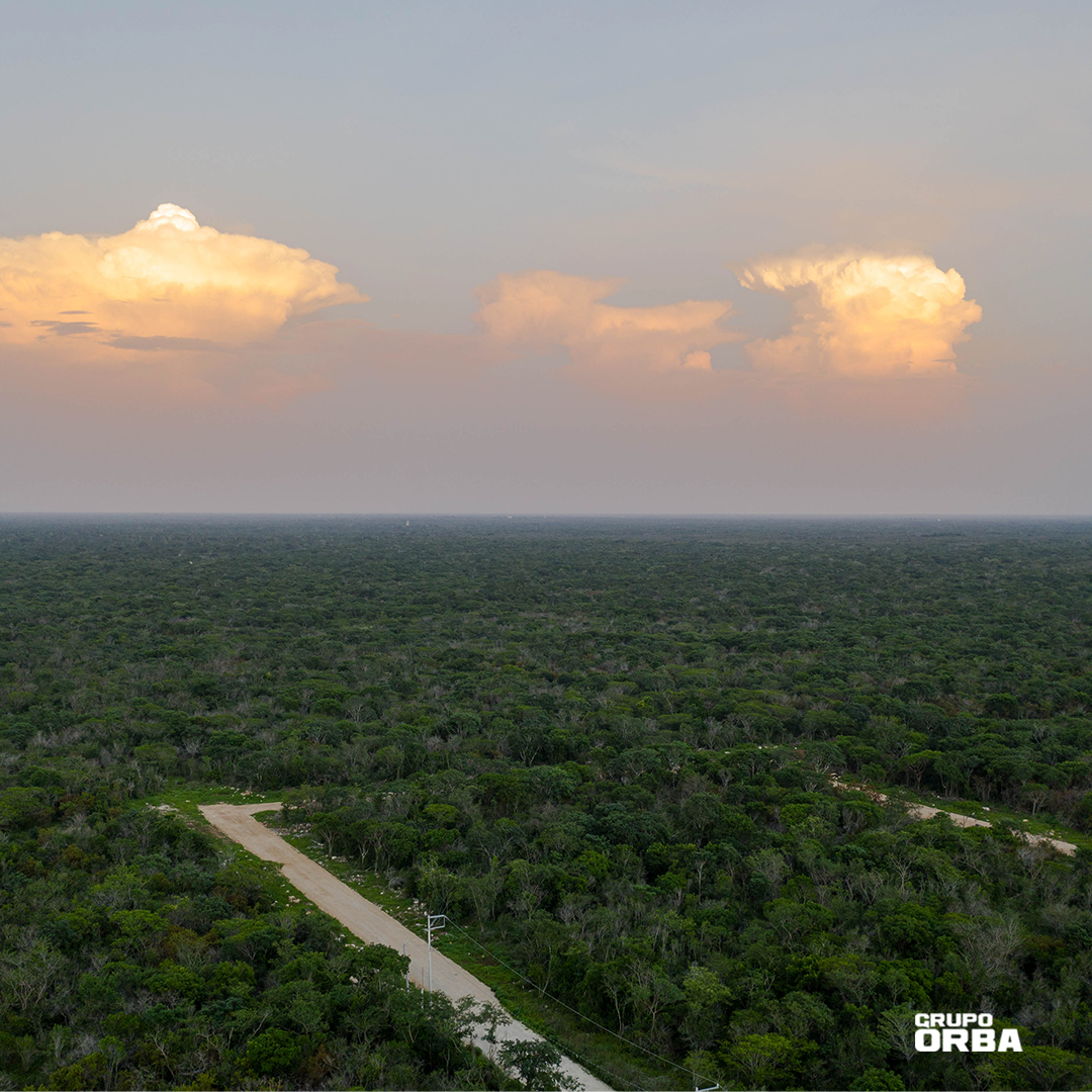 Ameli Conkal Campestre project image 3